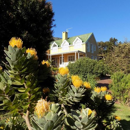 Villa La Paz Hout Bay Eksteriør billede