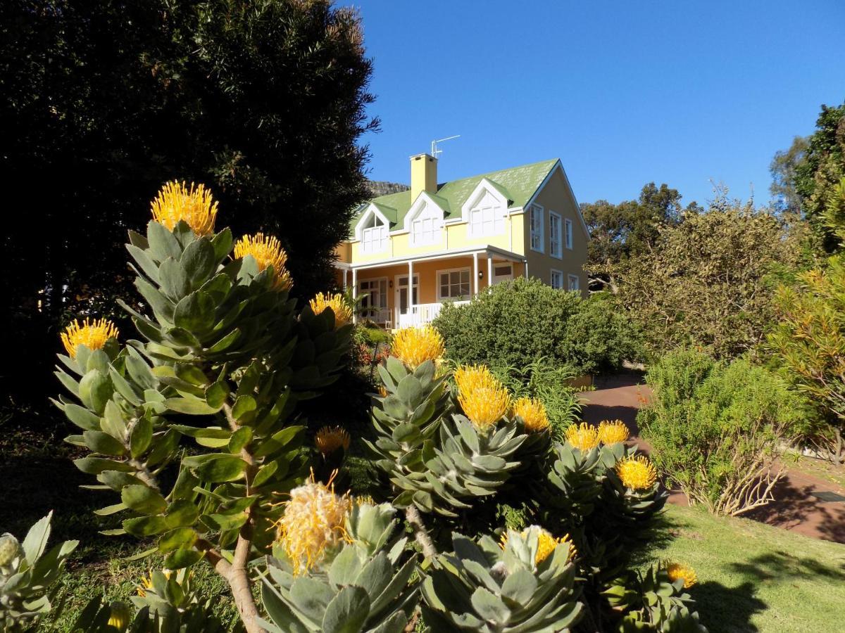 Villa La Paz Hout Bay Eksteriør billede
